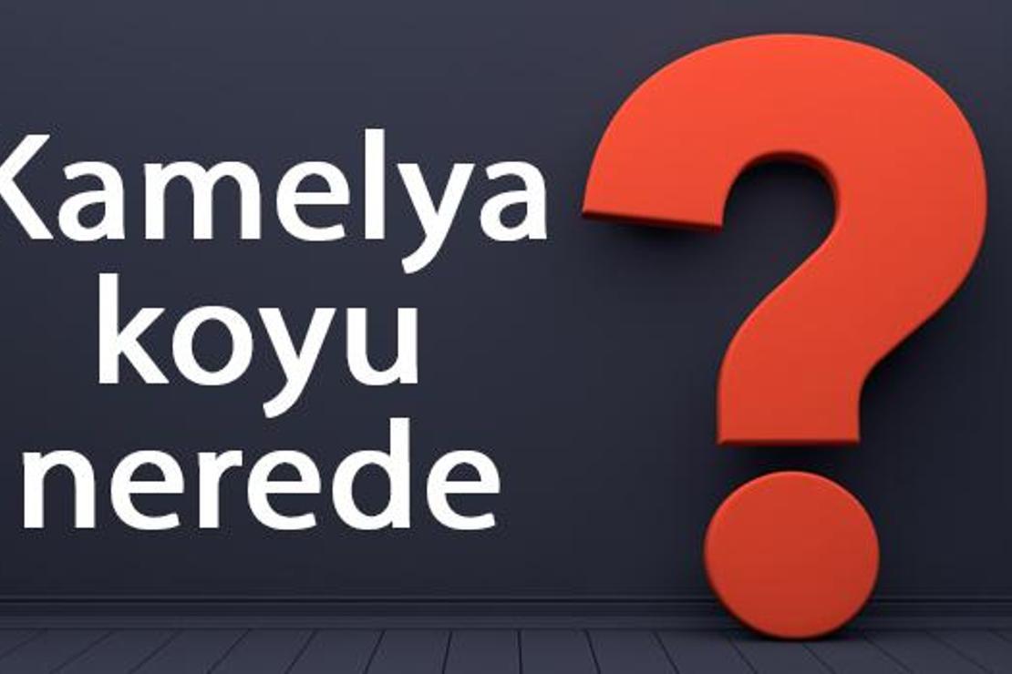 Kamelya koyu nerede, nereye bağlı? Kamelya koyuna nasıl gidilir koyda neler yapılır?