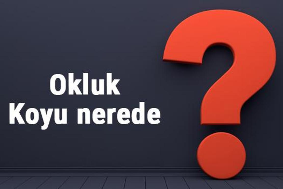 Okluk koyu nerede, nereye bağlı? Okluk koyuna nasıl gidilir koyda neler yapılır?