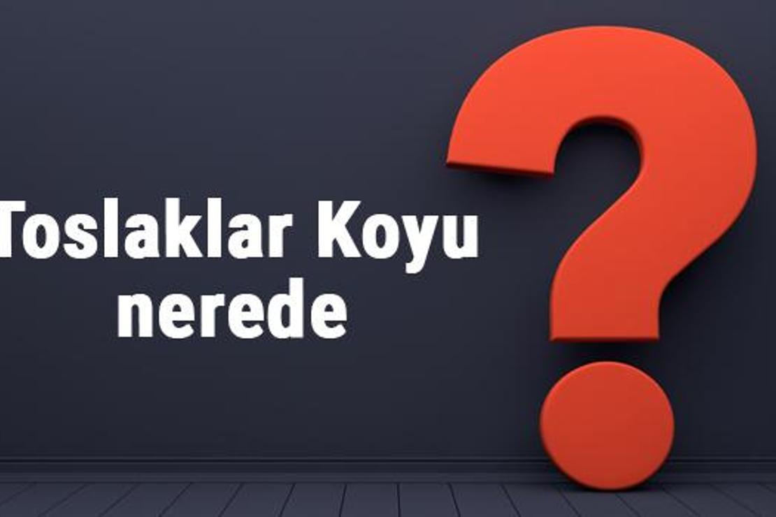 Toslaklar koyu nerede, nereye bağlı? Toslaklar koyuna nasıl gidilir koyda neler yapılır?