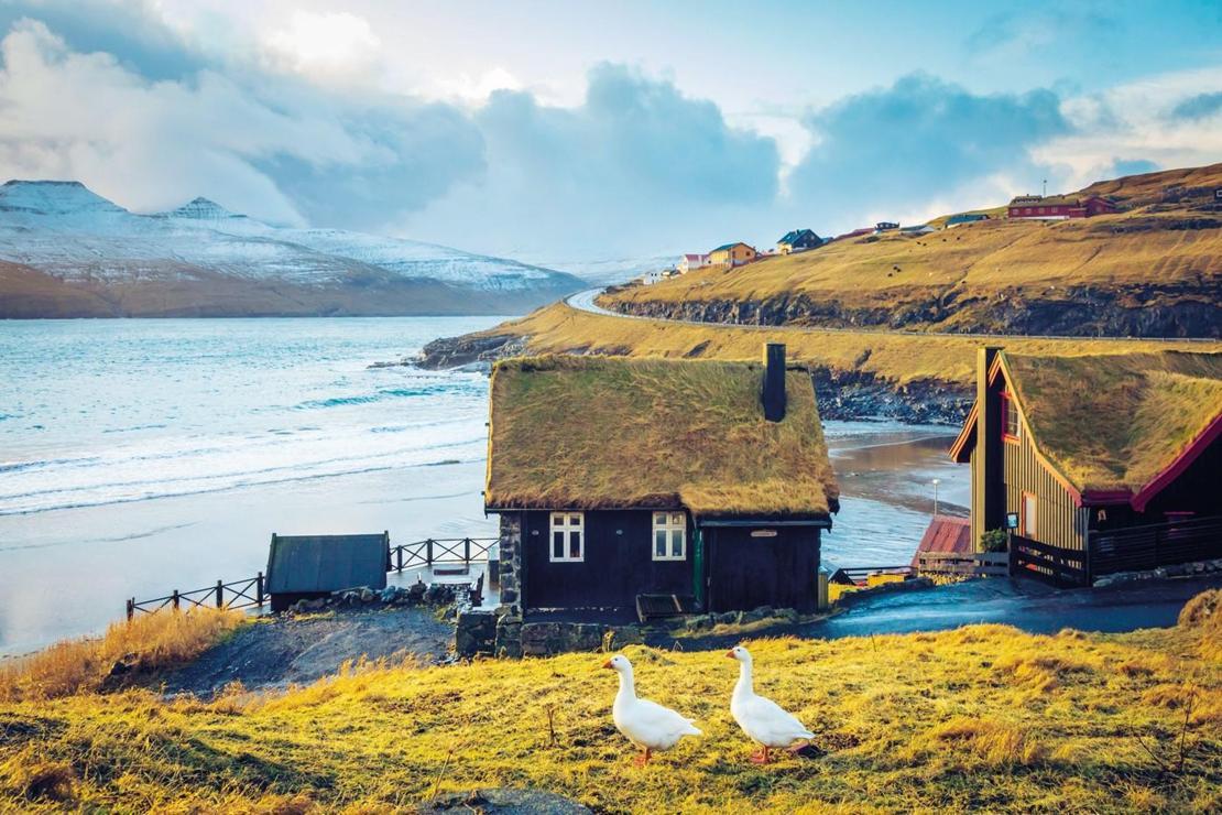 Türkiye’de en çok merak edilen ülke Faroe Adaları