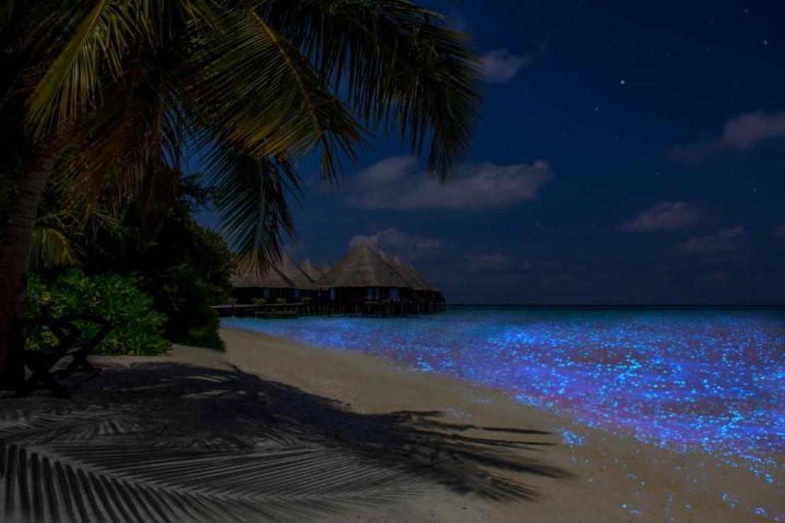 Maldivler’in en ünlü denizi olarak biliniyor ama aslında öyle bir yer yok… Hayali bir 'deniz' nasıl ülkenin en çok turist çeken yerlerinden biri haline geldi?