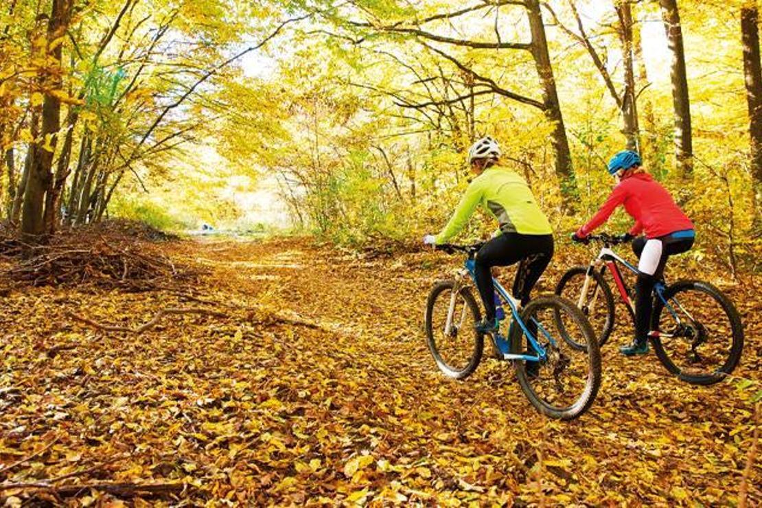 Pedallamanın tam zamanı!