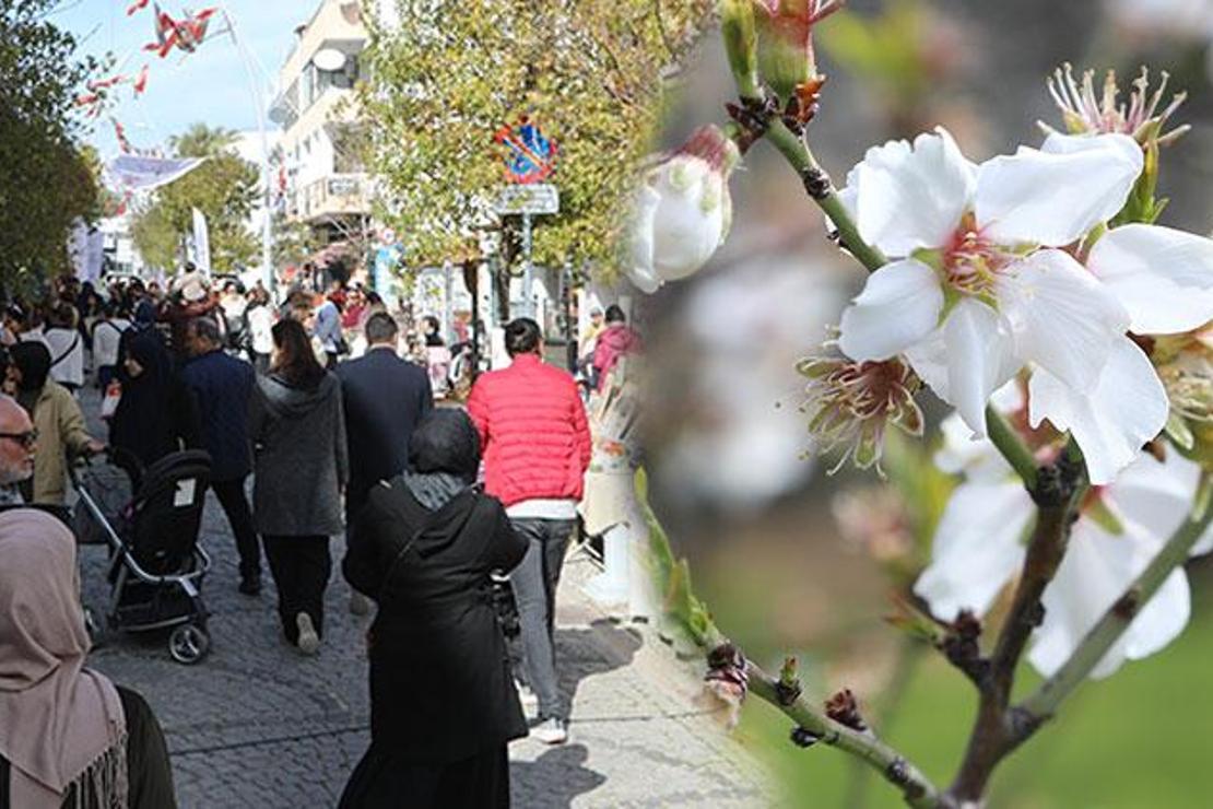 Badem çiçekleri açtı, Datça’da festival coşkusu yaşandı