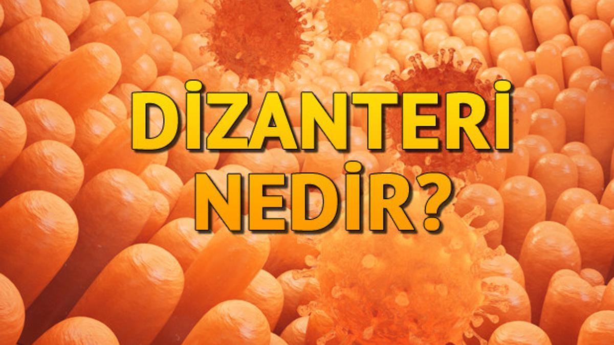 Dizanteri nasıl bulaşır, Dizanteri nedir? Sağlık Haberleri