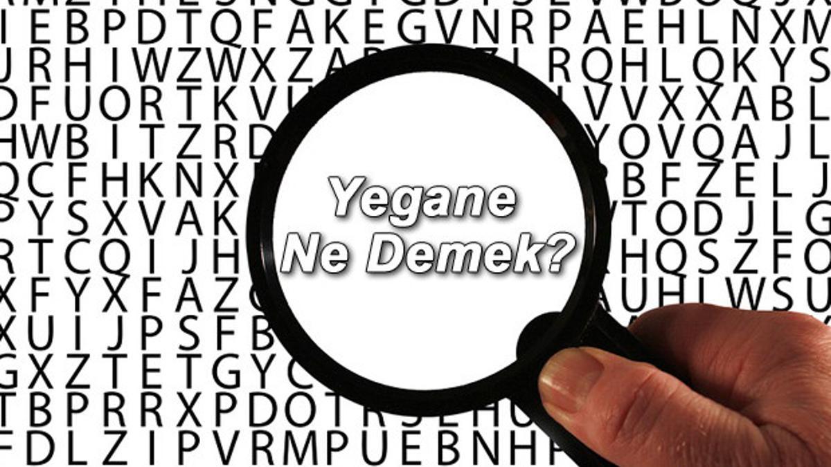 Yegane Ne Demek Yegane Nedir Yegane TDK Kelime Anlam 