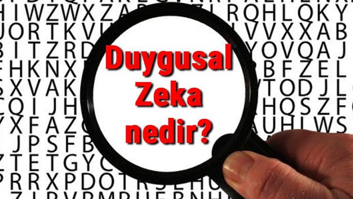 Duygusal Zeka Nedir Ve Neden önemlidir? Duygusal Zeka Eğitimi Hakkında ...