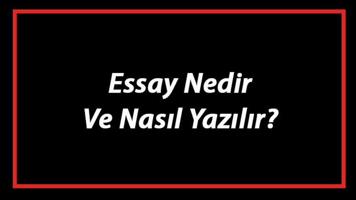 essay turkcesi nedir