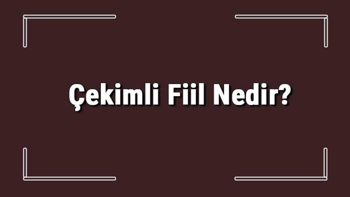 Çekimli Fiil Nedir? Çekimli Fiil Örnekleri Ve Konu Anlatımı