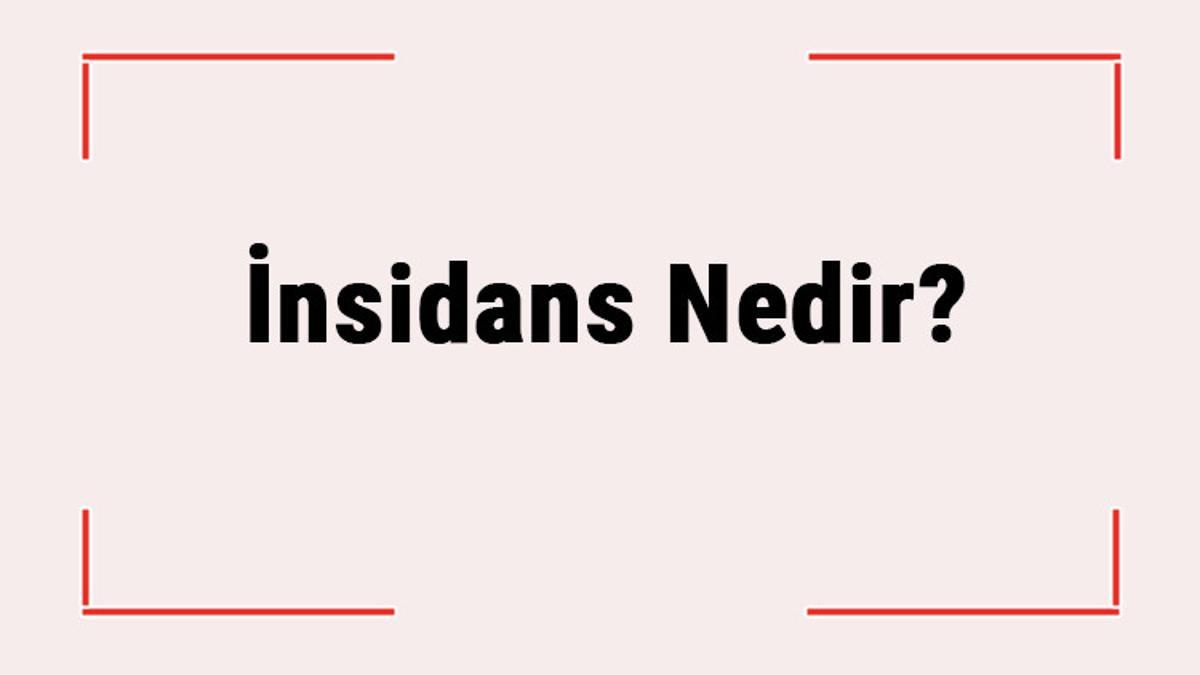 İnsidans Nedir? İnsidans Hesaplama Nasıl Yapılır? İnsidans Hızı Formülü