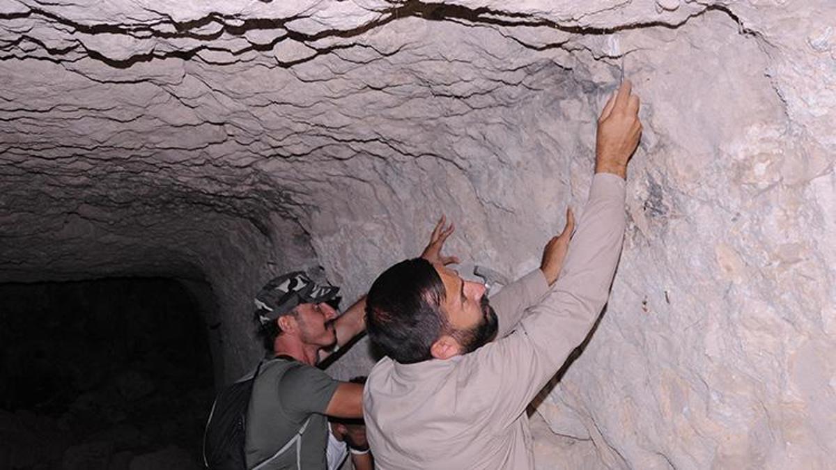 Kayseride Ilk Kez Tüf Mağara Tavanında Fosil Bulundu Son Derece Ilginç Ve Heyecan Verici 9836