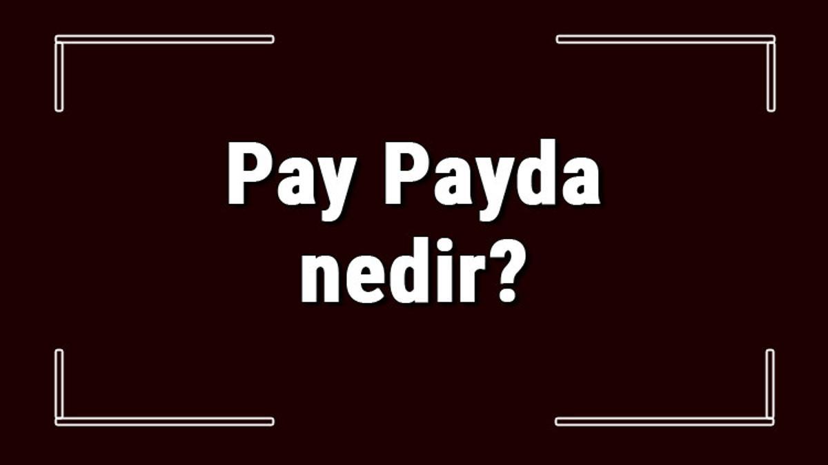 Pay Payda nedir ve yerleri neresidir? Pay Payda hesaplama ve ilişkisi