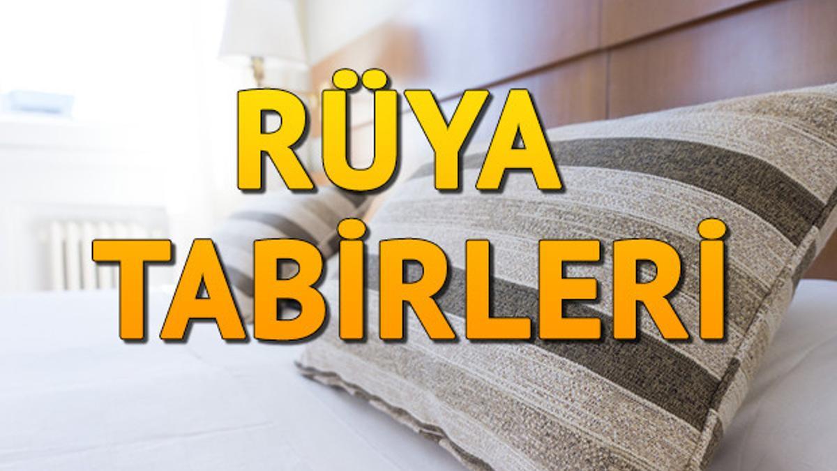 Rüyada Ağaca Çıkmak Ne Anlama Gelir? Rüyada Ağaca Çıkıp Meyve, Erik
