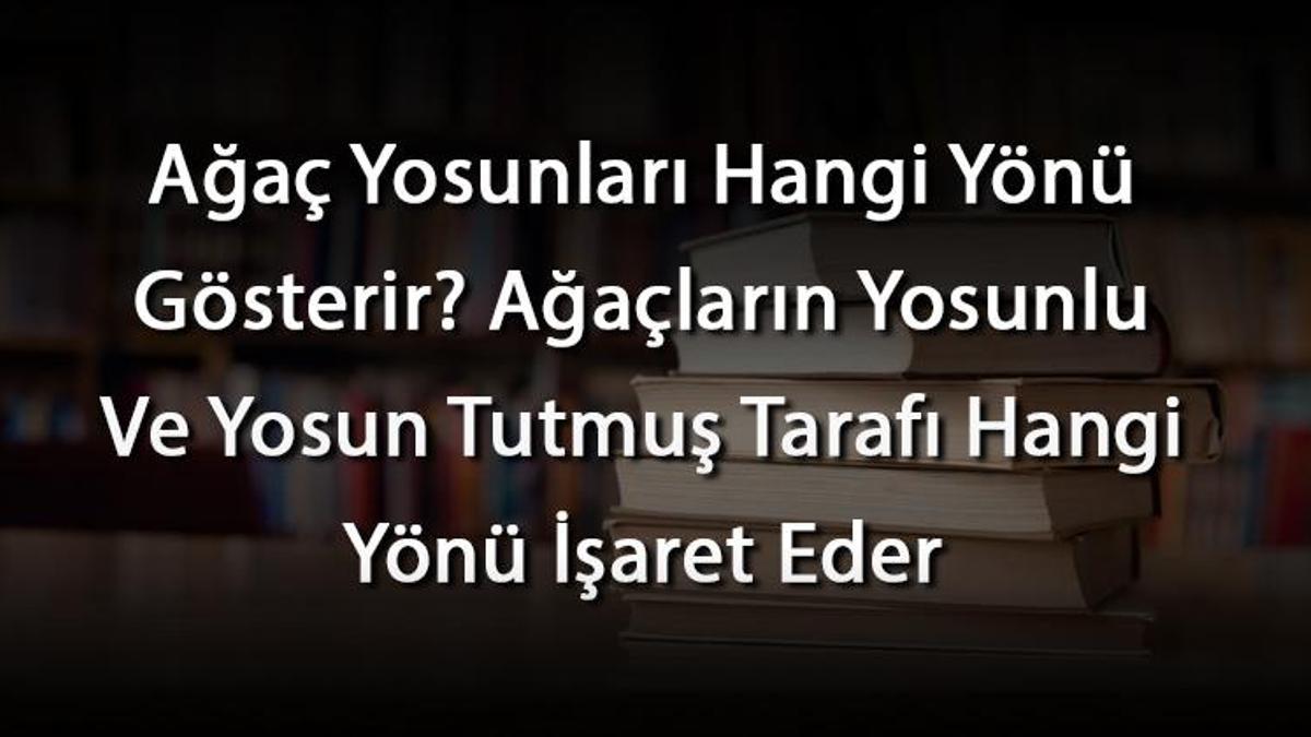 Ağaç Yosunları Hangi Yönü Gösterir Ağaçların Yosunlu Ve Yosun Tutmuş