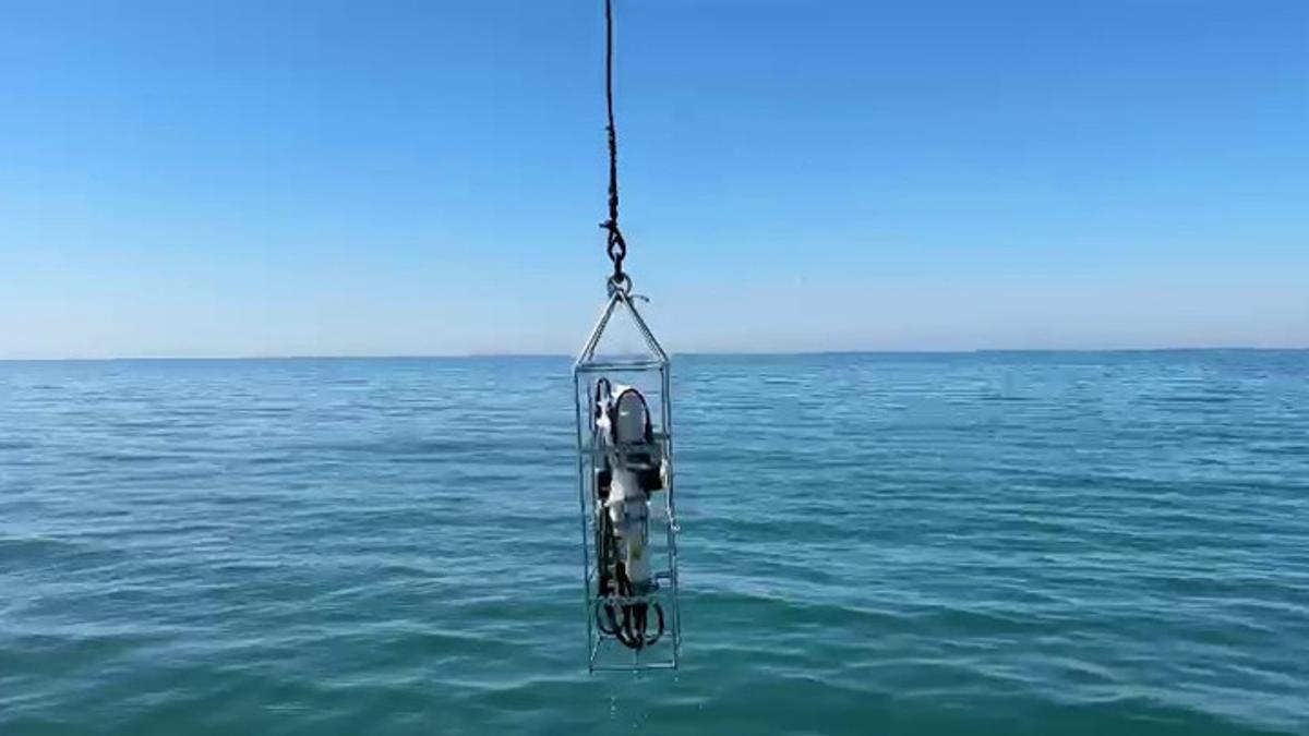 Karadeniz’de deniz suyu sıcaklığında artış: Biyoçeşitliliği de etkiliyor