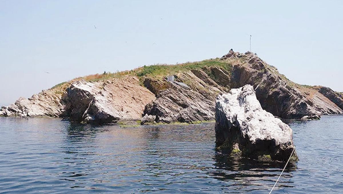 Tavşan Island’s coral model heads to COP31
