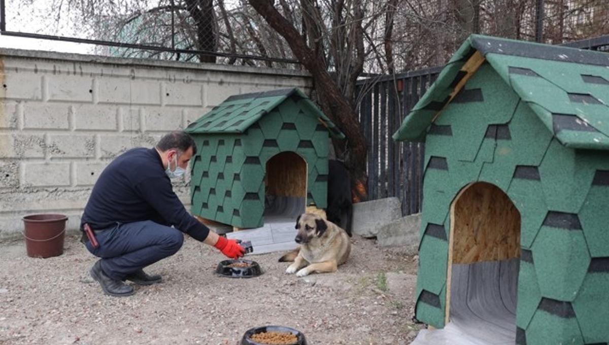Türkiye converts food waste into animal feed in 74 provinces
