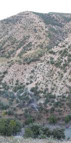 Şırnak şehitleri....