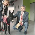 Colt becomes latest classmate in animal rights course in Istanbul law faculty