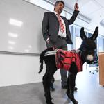 Colt becomes latest classmate in animal rights course in Istanbul law faculty