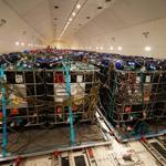 100 tons of baby sea breams airlifted to Oman from Turkey