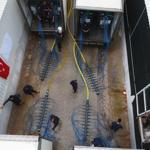 100 tons of baby sea breams airlifted to Oman from Turkey