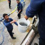 100 tons of baby sea breams airlifted to Oman from Turkey