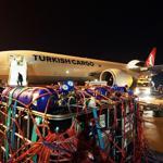 100 tons of baby sea breams airlifted to Oman from Turkey