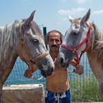 Electric cars to replace horses on Istanbul’s Princes’ Islands