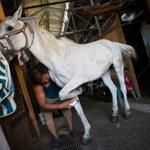 Electric cars to replace horses on Istanbul’s Princes’ Islands