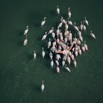 Top 10 natural marvels in Türkiye