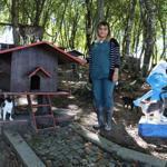 Cats fed with Mozart’s ‘Turkish March’ playing in background in Turkey’s north