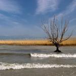 Turkeys Lake Eğirdir shrinking at alarming rate