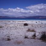 Turkeys Lake Eğirdir shrinking at alarming rate