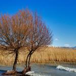Turkeys Lake Eğirdir shrinking at alarming rate
