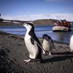 Turkish team arrives in Antarctica for polar research