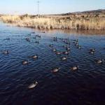 Turkey’s easternmost province ‘old haunt’ of birds