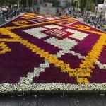 Live tulip carpet installed in Istanbul’s Sultanahmet Square