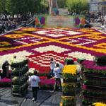 Live tulip carpet installed in Istanbul’s Sultanahmet Square