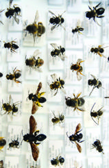 Safari tours lure nature enthusiasts to Hacettepe