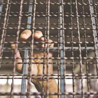 Anti-Muslim riots haunt shattered Myanmar city as fear continues