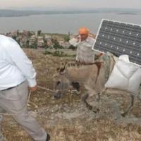 'Solar-powered donkeys' carry Internet for Turkish sheepherders
