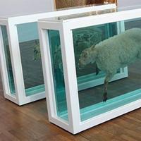 Damien Hirst artworks leaked formaldehyde gas: study