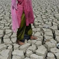 India to ratify historic Paris climate change pact - World News