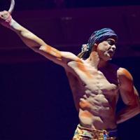 Cirque du Soleil star plunges to death during Florida Show - World News