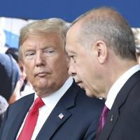 Erdoğan, Trump discuss Syria safe zone - World News