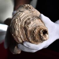 Earliest shell horn played for first time in 17,000 years