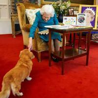 Prince Andrew to take on queen’s beloved corgis