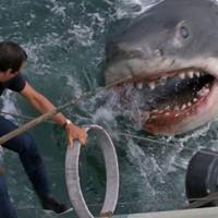 Spielberg regrets ‘Jaws’ impact on shark population