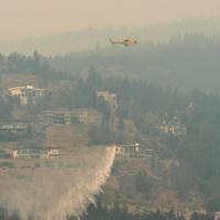 Western Canada wildfires force tens of thousands to flee - World News