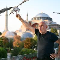 ‘Seagull feeding pose’ captivates 2,000 tourists every day